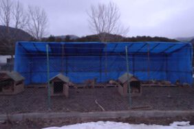 Gerede-Hayvan-Barinagi-Bolu-Valiligi-Aciklamasi