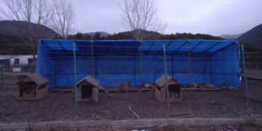 Gerede-Hayvan-Barinagi-Bolu-Valiligi-Aciklamasi