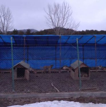 Gerede-Hayvan-Barinagi-Bolu-Valiligi-Aciklamasi