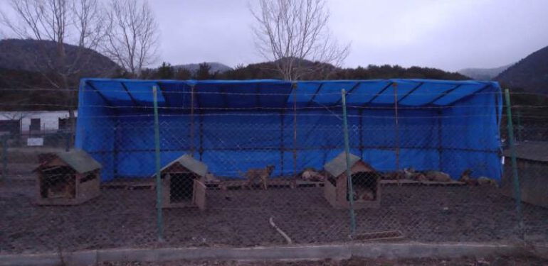 Valilik’ten Açıklama Geldi